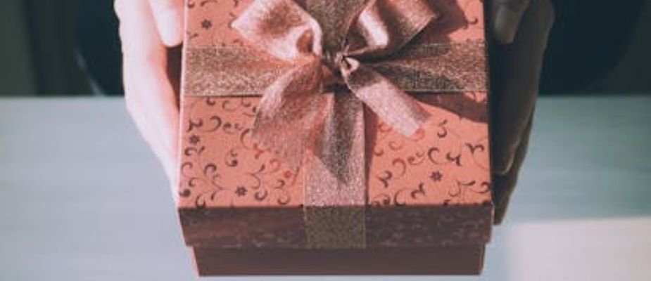 Presente para criança de 5 anos: escolhas que estimulam autonomia e conforto